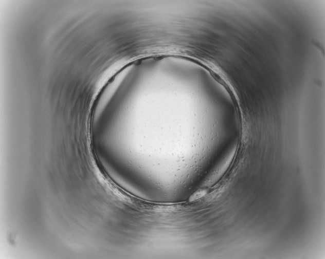 X0000101461389200808041031