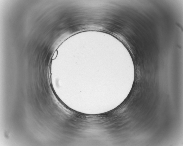 X0000101461391200808041031