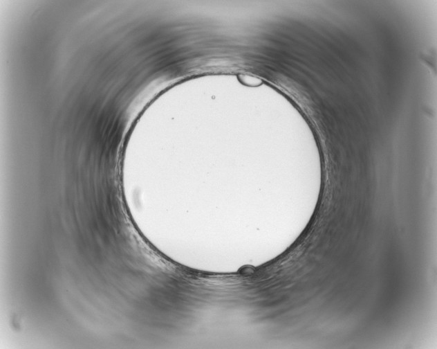 X0000101461392200808041031