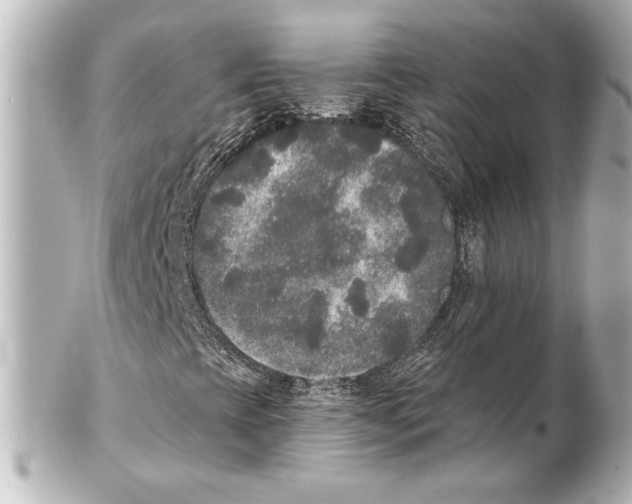 X0000101461393200808041031