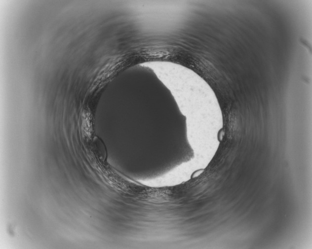 X0000101461394200808041031