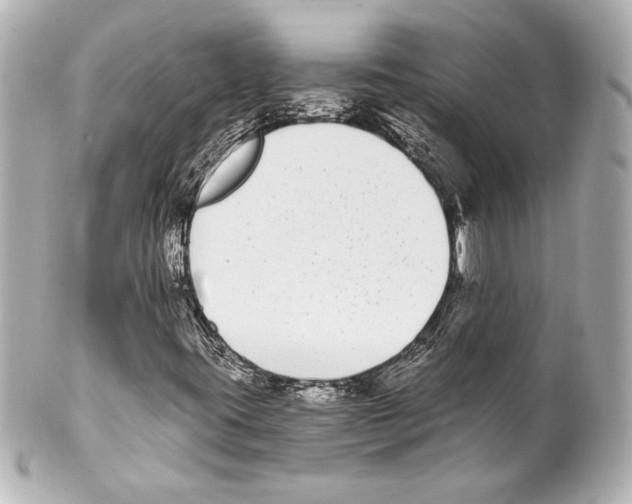 X0000101461395200808041031