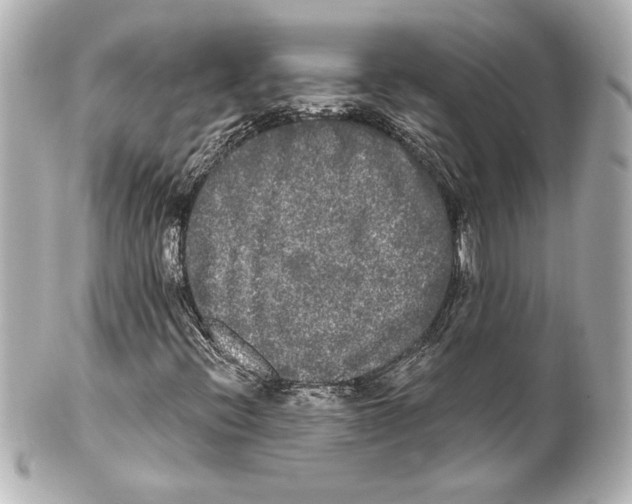 X0000101461396200808041031