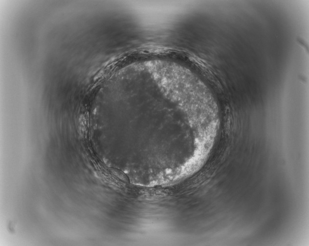 X0000101461397200808041031