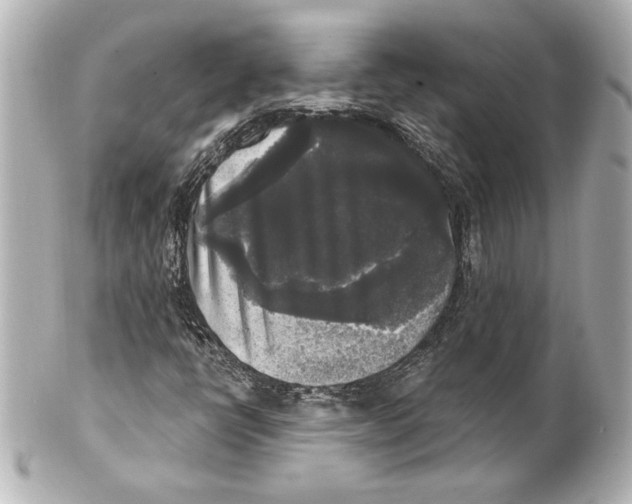 X0000101461398200808041031