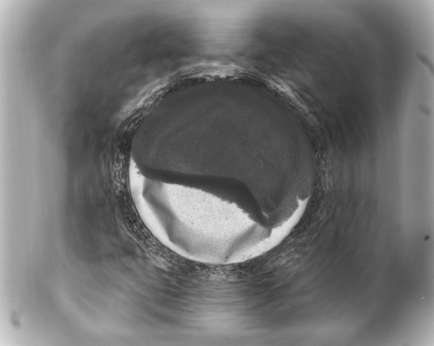 X0000101461399200808041031