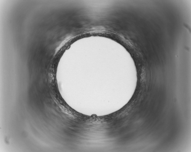X0000101461400200808041031