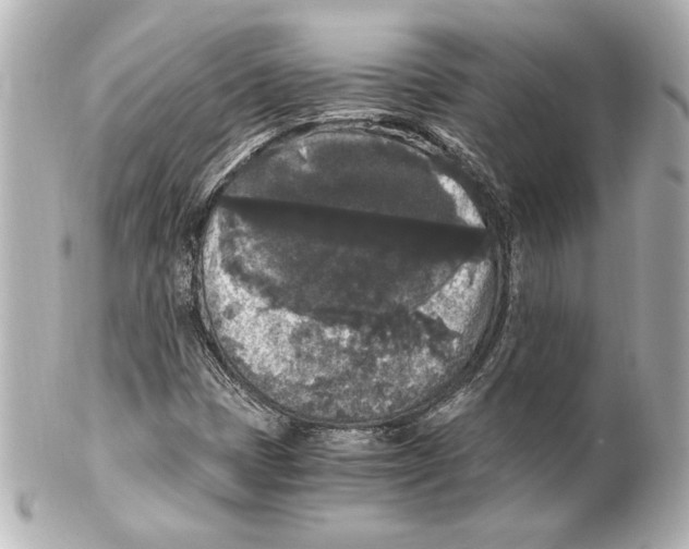 X0000101461401200808041031