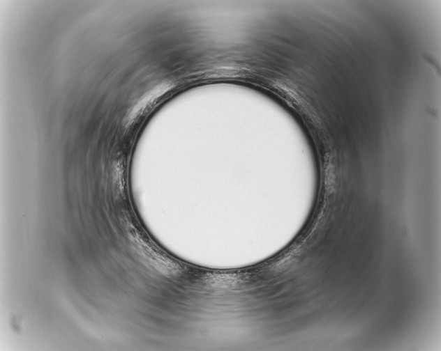 X0000101461402200808041031