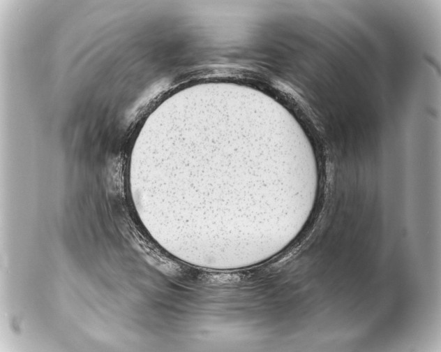 X0000101461403200808041031