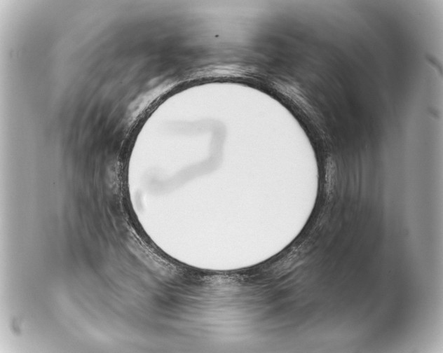 X0000101461404200808041031