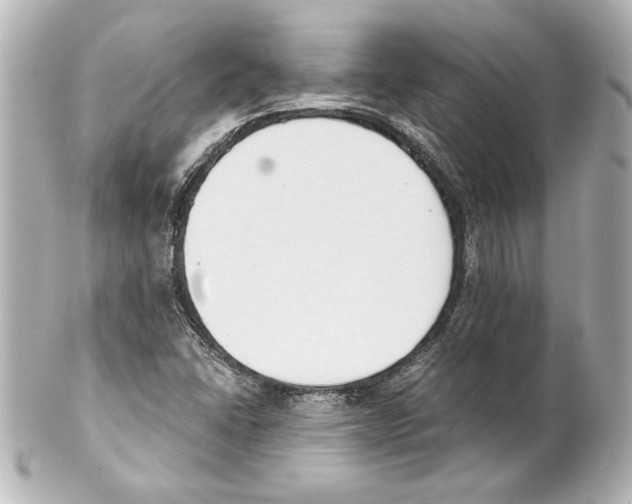 X0000101461406200808041031