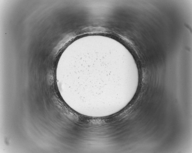 X0000101461407200808041031