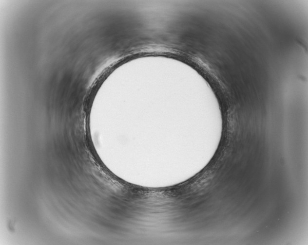 X0000101461408200808041031