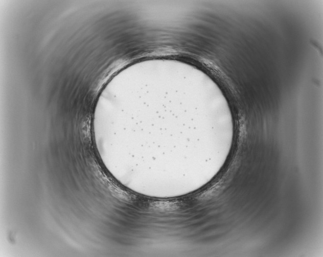 X0000101461409200808041031