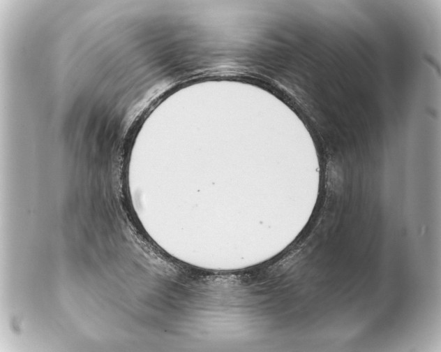 X0000101461410200808041031