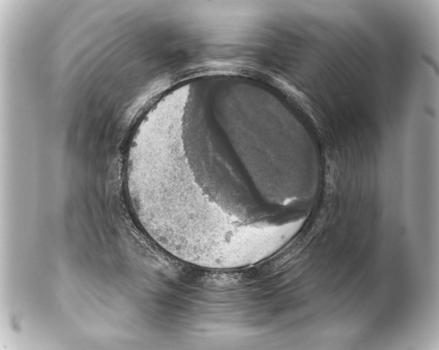 X0000101461411200808041031