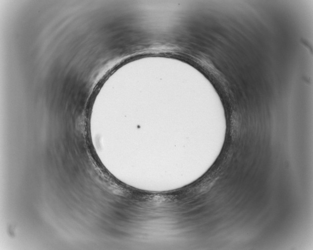 X0000101461412200808041031