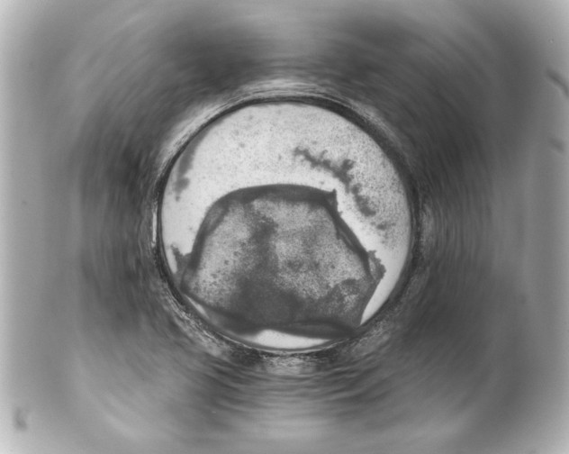 X0000101461413200808041031