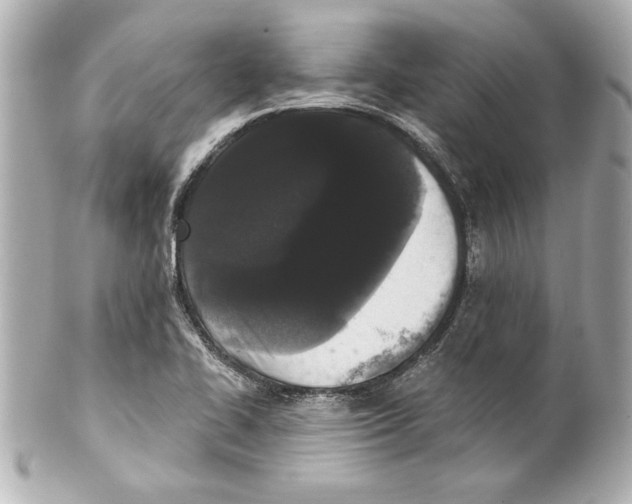 X0000101461414200808041031