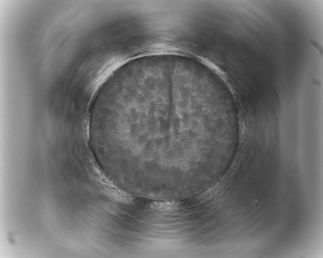 X0000101461415200808041031