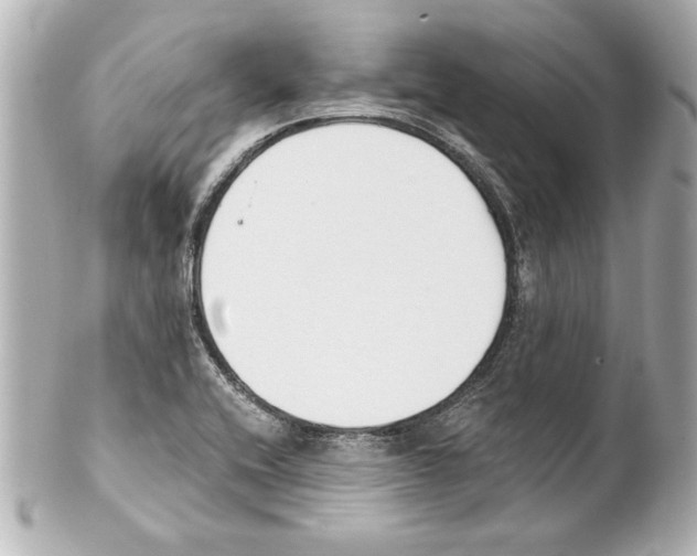 X0000101461416200808041031