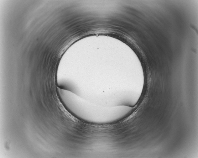 X0000101461417200808041031