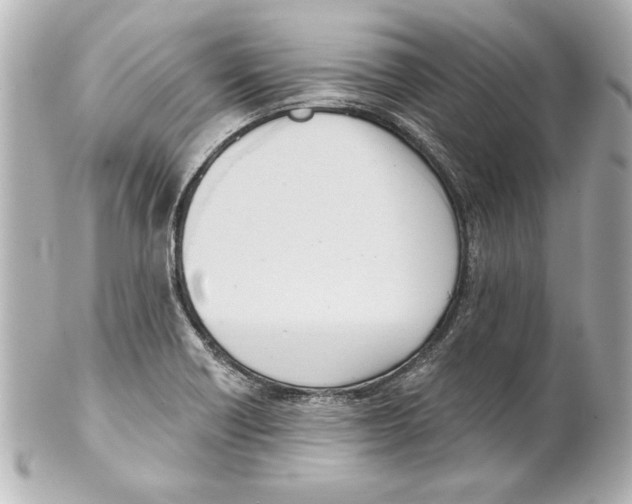 X0000101461418200808041031