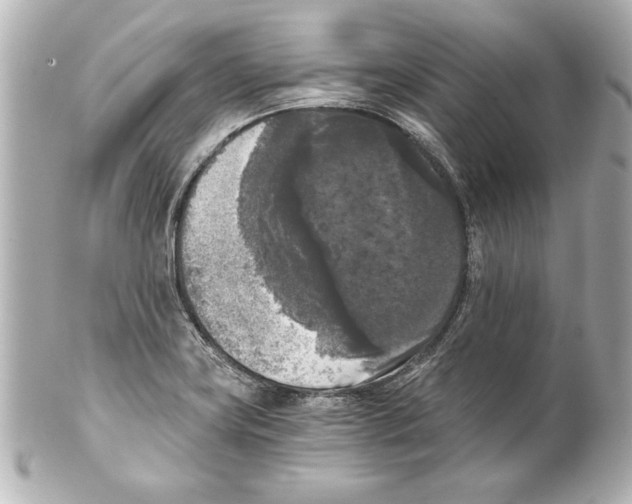 X0000101461419200808041031