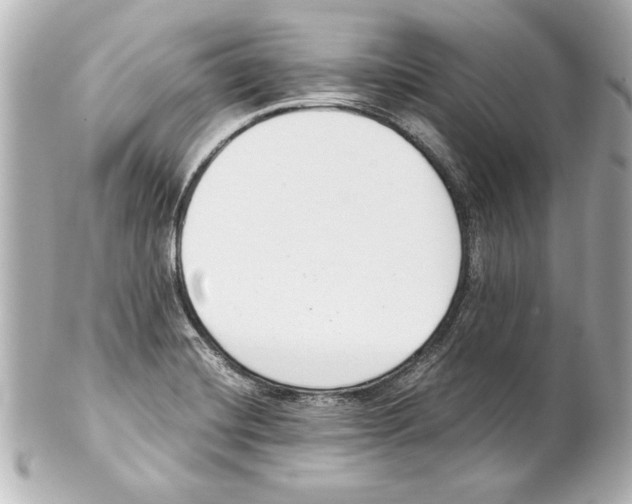 X0000101461420200808041031