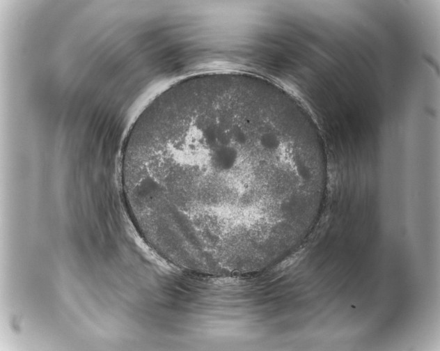 X0000101461421200808041031