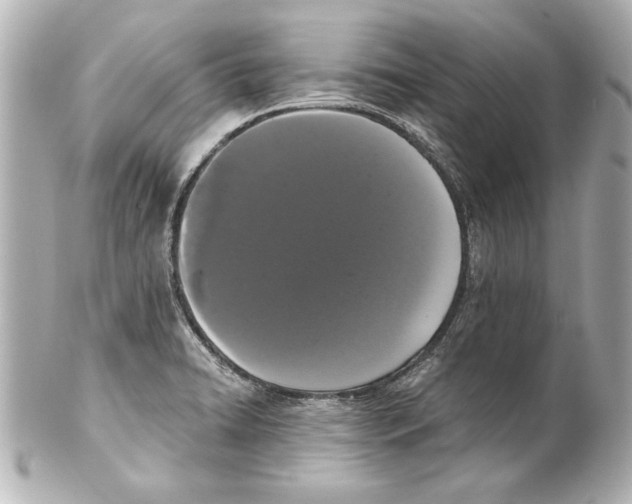 X0000101461422200808041031