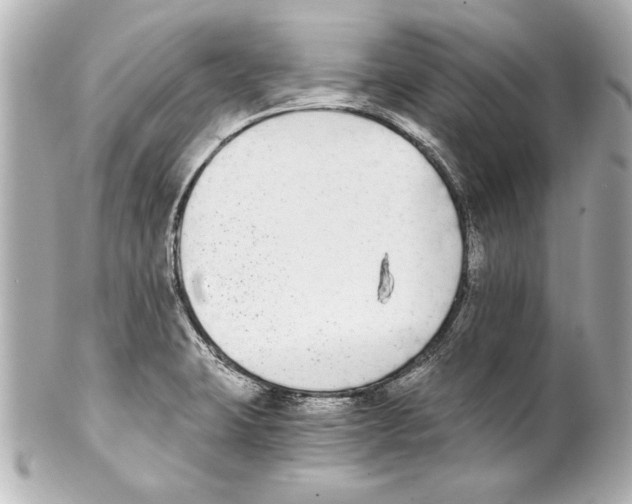 X0000101461423200808041031