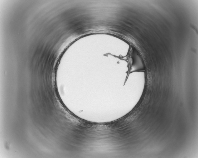 X0000101461424200808041031