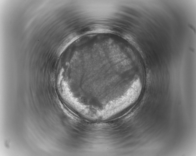 X0000101461425200808041031