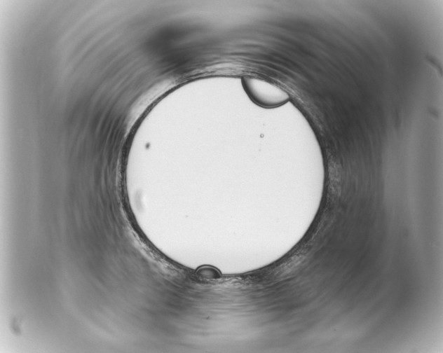 X0000101461426200808041031