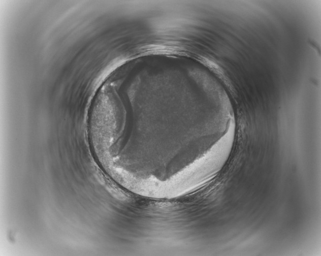 X0000101461427200808041031