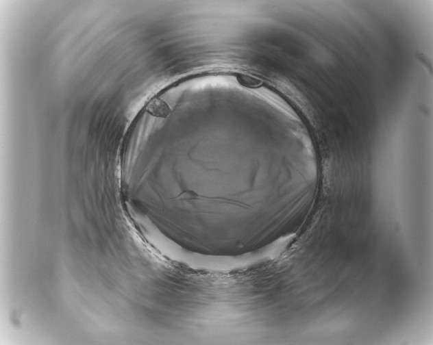 X0000101461428200808041031