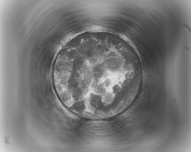 X0000101461429200808041031