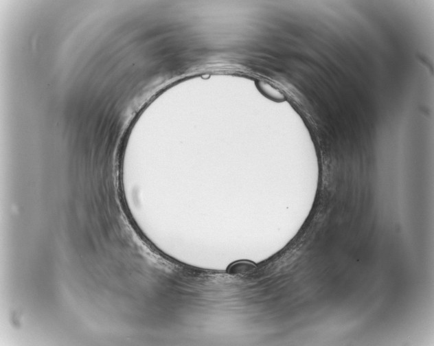 X0000101461430200808041031