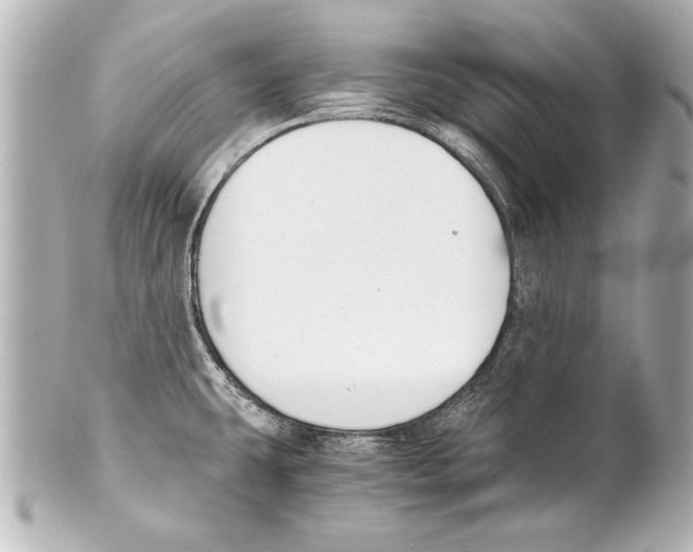 X0000101461431200808041031