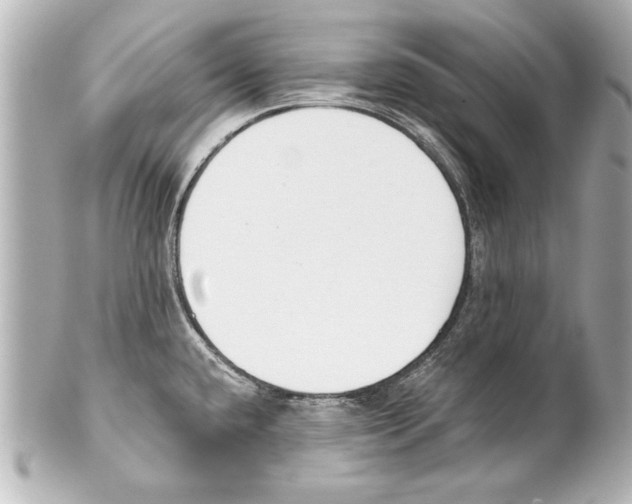 X0000101461432200808041031