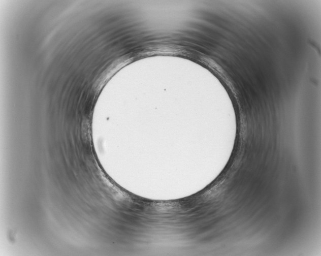 X0000101461433200808041031