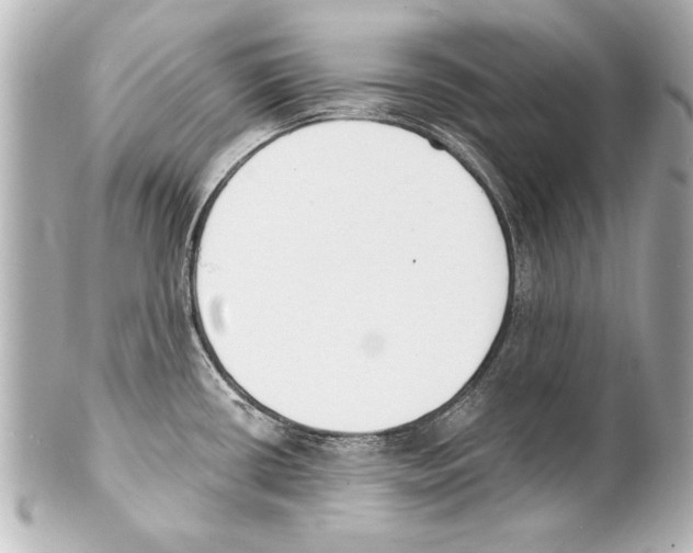 X0000101461434200808041031