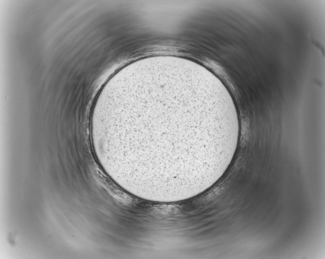 X0000101461435200808041031