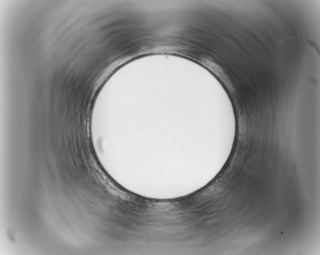 X0000101461436200808041031