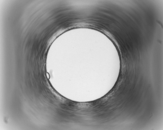 X0000101461437200808041031