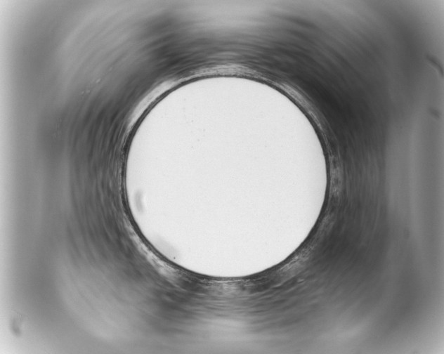 X0000101461438200808041031