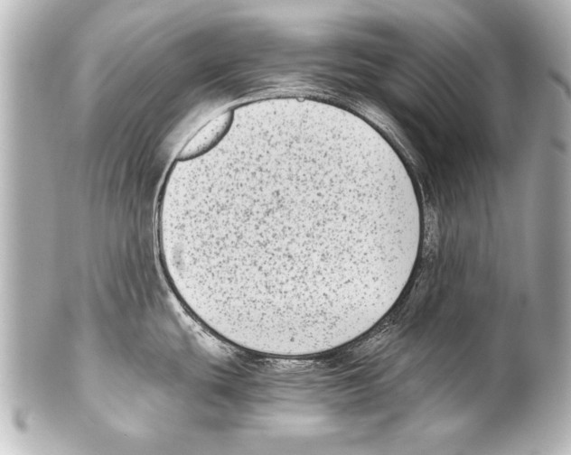 X0000101461439200808041031