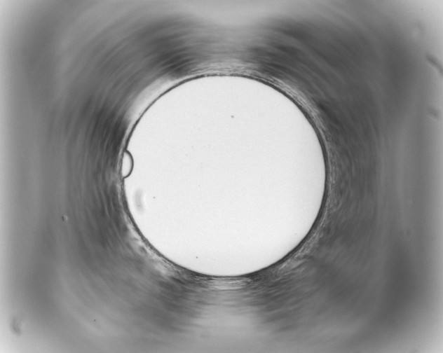 X0000101461440200808041031